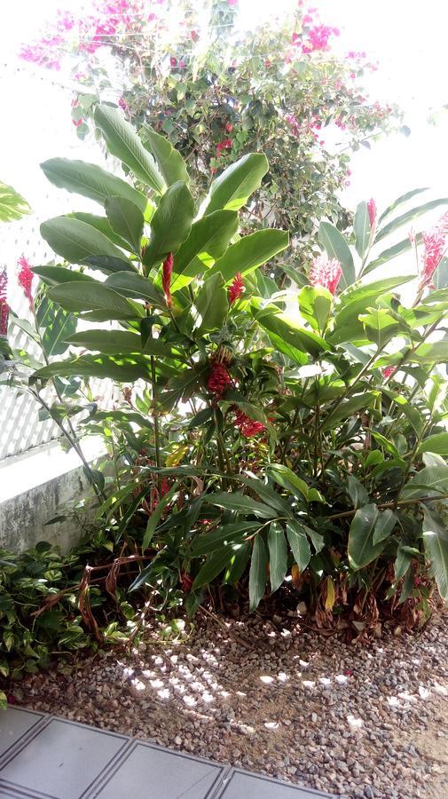 Pousada Terra De Minas Natal Extérieur photo